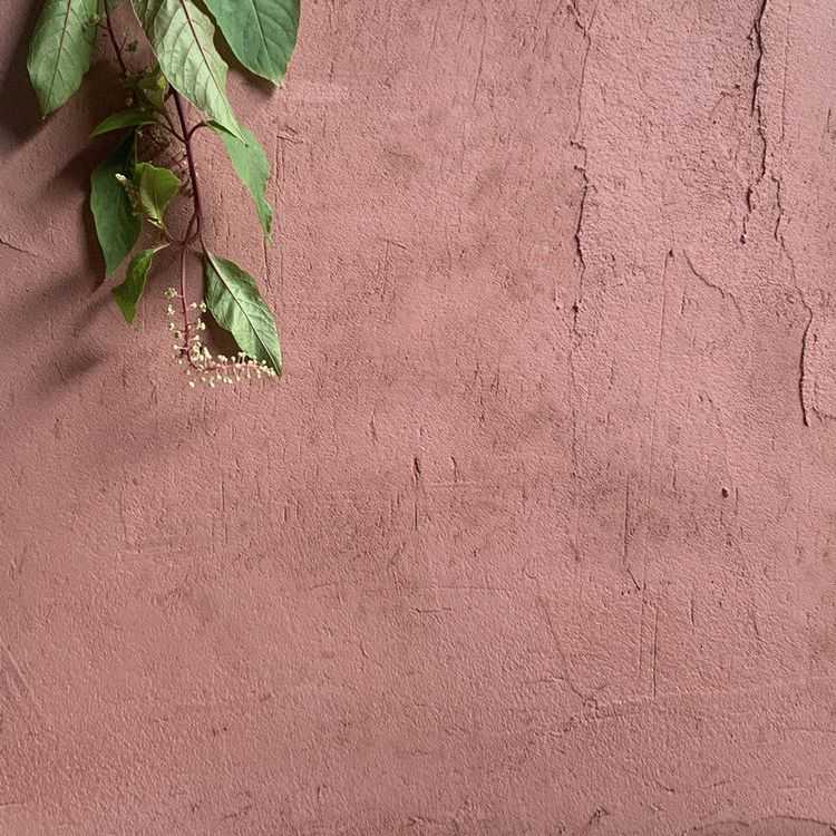 生态稻草漆稻草泥墙面漆夯土外墙草筋灰硅藻泥肌理质感涂料米洞石